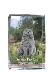 Artdog Selkirk Rex Cat Shorthaired - kristal s sliko mačke, fotografija v steklu, sodobna razstava blagovne znamke Art-Dog