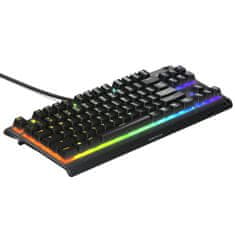 Miramarket Tipkovnica Gaming SteelSeries APEX 3 TKL Qwerty Španska