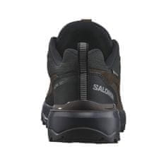 Salomon Čevlji treking čevlji rjava 44 EU X Ultra 360 Ltr Gtx Gore-tex