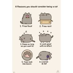 Miramarket Pusheen - plakat (61 x 91,5 cm)