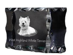 Artdog West Highland White Terrier, Westie, Westy - crystal with a picture of a dog, glass statuette with a picture, unique frame with a picture from Art-Dog brand