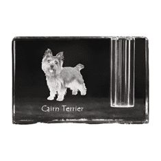 Artdog Cairn Terrier - Pen stand, crystal organiser with dog photo, unique desk decoration by Art-Dog brand