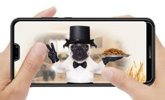 Miramarket Alogy kaljeno steklo za Huawei P20 Lite