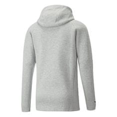 Puma Športni pulover 182 - 187 cm/L Teamfinal Casuals Hooded