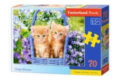 Toys Uganka 70 el. Ginger Kittens