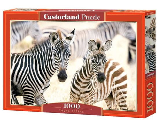 Toys Sestavljanka 1000 elementov C-105021 Mlade zebre zebre