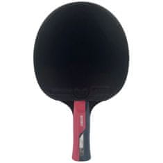 Miramarket BUTTERFLY lopar za namizni tenis Timo Boll Ruby