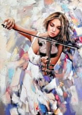 Norimpex Diamantna slika Violinist 30x40cm