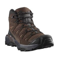 Salomon Čevlji treking čevlji rjava 46 EU X Ultra 360 Ltr Mid Gtx Gore-tex