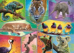 Trefl Puzzle Animal Planet: Svet eksotičnih živali/200 kosov