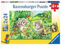 Ravensburger Koale in pande sestavljanka 2x24 kosov