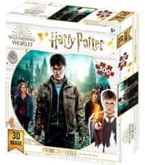 Harry Potter 3D sestavljanka - Harry, Hermiona in Ron 300 kosov