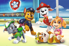 Trefl Sestavljanka V svetu kužkov Paw patrol 33x22cm 60 kosov