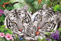 Schmidt Puzzle Tiger family 150 kosov