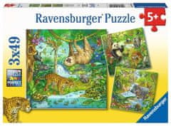 Ravensburger Jungle Animals Puzzle 3x49 kosov