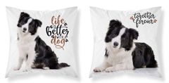 Detexpol Prevleka za vzglavnik Border collie micro Poliester, 40/40 cm