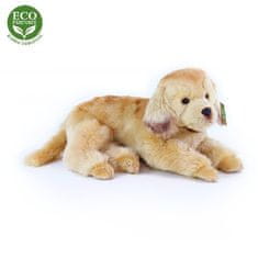 Rappa Golden Retriever plišast pes leži 32 cm EKOLOŠKO