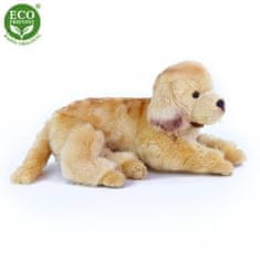 Rappa Golden Retriever plišast pes leži 32 cm EKOLOŠKO