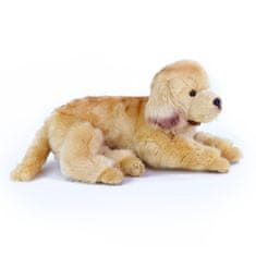 Rappa Golden Retriever plišast pes leži 32 cm EKOLOŠKO