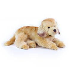 Rappa Golden Retriever plišast pes leži 32 cm EKOLOŠKO