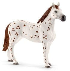 Schleich Appaloosa konji in pribor za trening