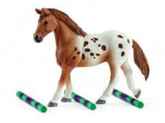 Schleich Appaloosa konji in pribor za trening