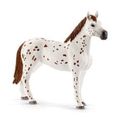 Schleich Appaloosa konji in pribor za trening