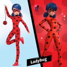 Čudežna ladjica in črna mačka-Miss Ladybug