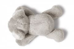 NICI Koala Kaola 12cm