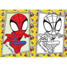 Pobarvanka A5 SPIDEY