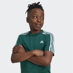 Adidas Majice obutev za trening zelena XS 3s Tee