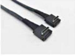 Intel Kabel Intel AXXCBL620CRCR Serial Attached SCSI (SAS) 0,62 m, črn - visoko kakovostna povezava za zanesljivo prenos podatkov