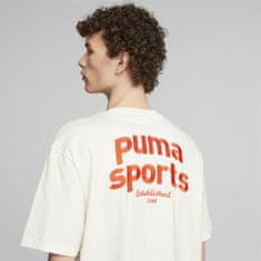 Puma Majice bela S Team Graphic Tee