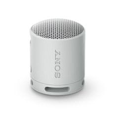 Sony SRS-XB100/Mono/Gray