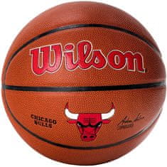 Wilson Žoge košarkaška obutev rjava 7 Team Alliance Chicago Bulls