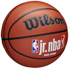 Wilson Žoge košarkaška obutev rjava 7 JR Nba Fam Logo Inout