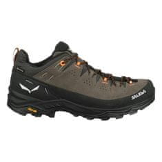 Salewa Čevlji treking čevlji 43 EU Alp Trainer 2 Gtx