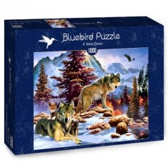 BLUEBIRD New Dawn Puzzle 1000 kosov