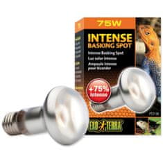 EXO TERRA Žarnica Intense Basking Spot 75W