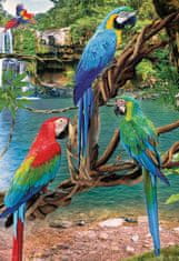 EuroGraphics Puzzle Save Our Planet: Macaws Macaws XL 250 kosov