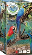 EuroGraphics Puzzle Save Our Planet: Macaws Macaws XL 250 kosov