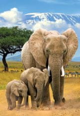 EuroGraphics Puzzle Save Our Planet: Elephants XL 250 kosov