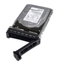 SATA 2TB trdi disk 6 Gb/s 7,2K 512n 3,5in Hot-Plug CUS Kit