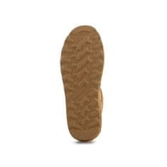 BEARPAW Škornji elegantni čevlji rjava 37 EU Super Shorty Iced Coffee