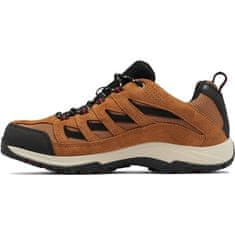 Columbia Čevlji treking čevlji rjava 40 EU Crestwood Waterproof