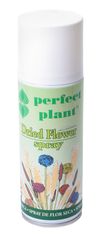 PERFECT PLANT sijaj za posušene rastline 200ml