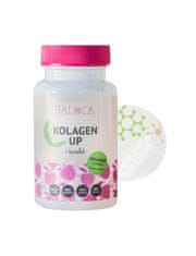 MALINCA Kolagen UP (60 kapsul)