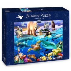 BLUEBIRD Puzzle Ocean of Life 1000 kosov