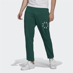 Adidas Hlače zelena 176 - 181 cm/L Bld Sweatpant