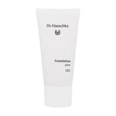 Dr. Hauschka Foundation puder za naraven videz 30 ml Odtenek 002 pine